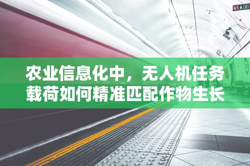 农业信息化中，无人机任务载荷如何精准匹配作物生长需求？