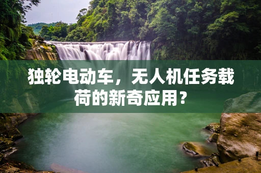 独轮电动车，无人机任务载荷的新奇应用？