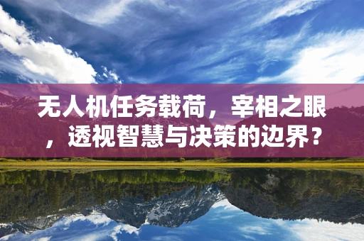 无人机任务载荷，宰相之眼，透视智慧与决策的边界？
