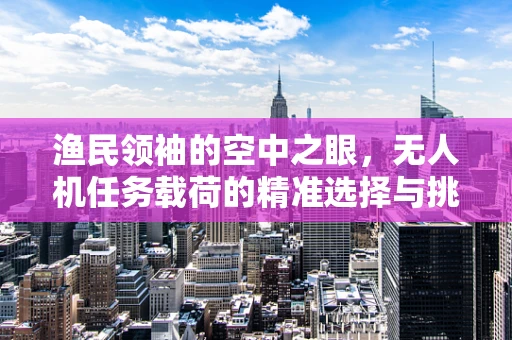 渔民领袖的空中之眼，无人机任务载荷的精准选择与挑战
