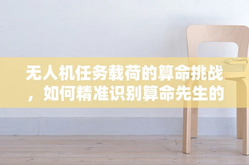 无人机任务载荷的算命挑战，如何精准识别算命先生的非法活动？