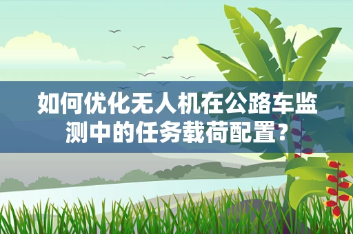 如何优化无人机在公路车监测中的任务载荷配置？