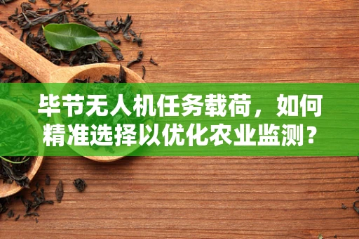 毕节无人机任务载荷，如何精准选择以优化农业监测？