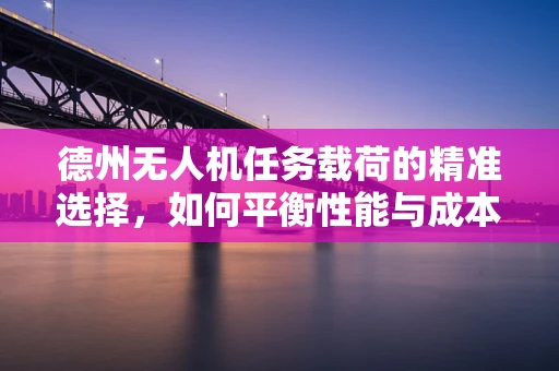 德州无人机任务载荷的精准选择，如何平衡性能与成本？