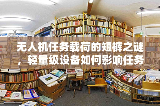 无人机任务载荷的短裤之谜，轻量级设备如何影响任务效率？