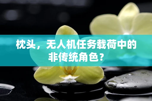 枕头，无人机任务载荷中的非传统角色？