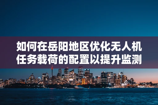 如何在岳阳地区优化无人机任务载荷的配置以提升监测效率？