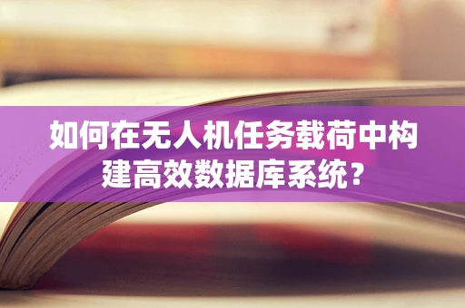 如何在无人机任务载荷中构建高效数据库系统？