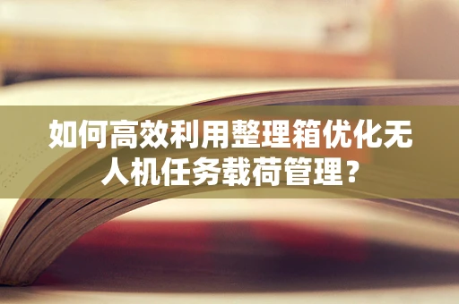 如何高效利用整理箱优化无人机任务载荷管理？