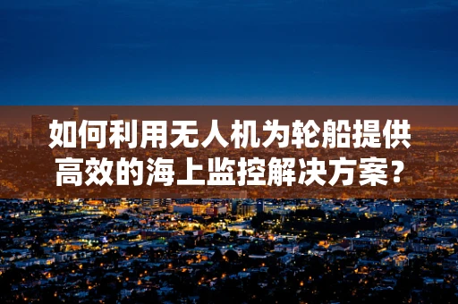 如何利用无人机为轮船提供高效的海上监控解决方案？