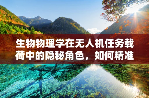 生物物理学在无人机任务载荷中的隐秘角色，如何精准捕捉自然界的微妙变化？