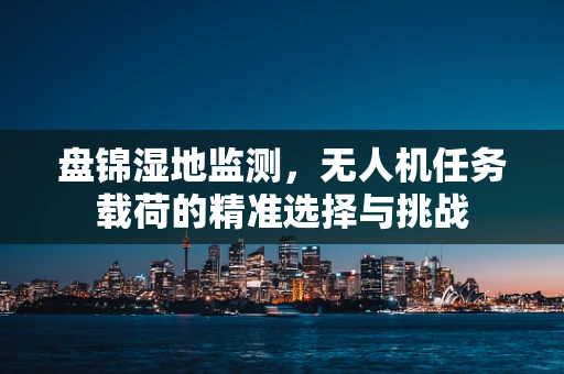 盘锦湿地监测，无人机任务载荷的精准选择与挑战