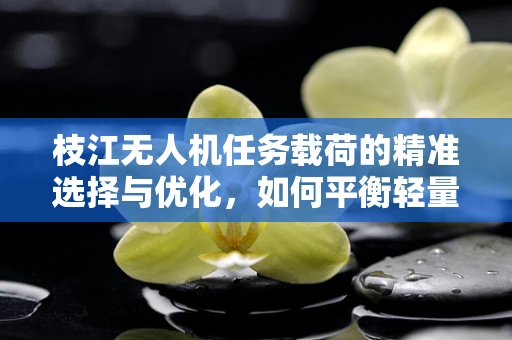 枝江无人机任务载荷的精准选择与优化，如何平衡轻量与高效？