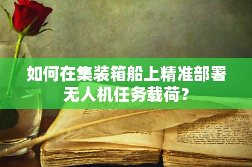 如何在集装箱船上精准部署无人机任务载荷？