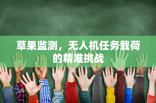 草果监测，无人机任务载荷的精准挑战
