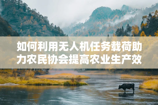 如何利用无人机任务载荷助力农民协会提高农业生产效率？