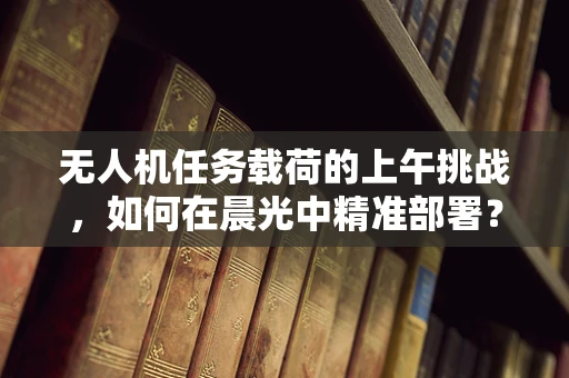 无人机任务载荷的上午挑战，如何在晨光中精准部署？