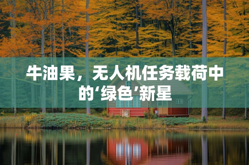 牛油果，无人机任务载荷中的‘绿色’新星