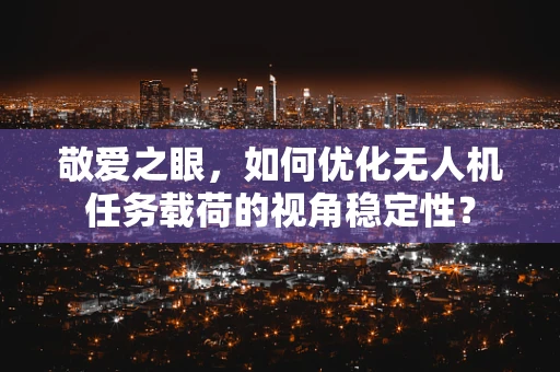 敬爱之眼，如何优化无人机任务载荷的视角稳定性？