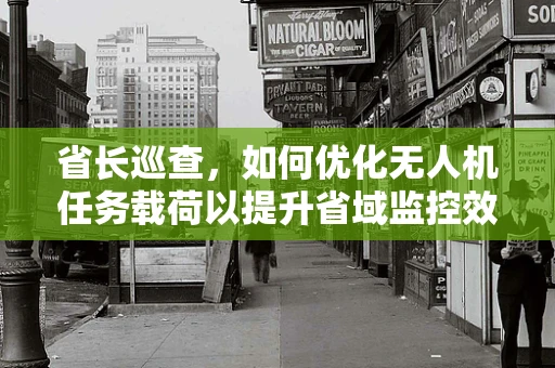 省长巡查，如何优化无人机任务载荷以提升省域监控效率？