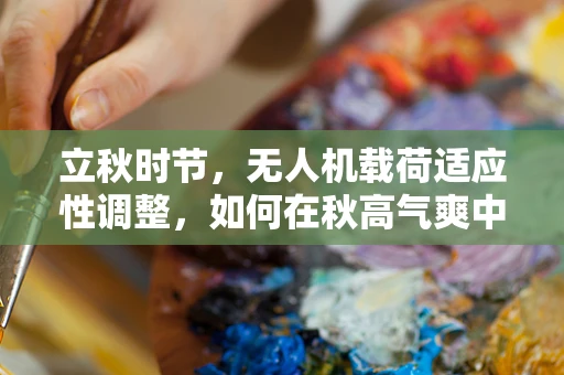 立秋时节，无人机载荷适应性调整，如何在秋高气爽中优化任务执行？