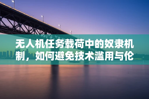 无人机任务载荷中的奴隶机制，如何避免技术滥用与伦理困境？