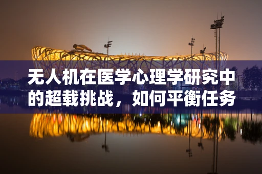 无人机在医学心理学研究中的超载挑战，如何平衡任务载荷与数据质量？