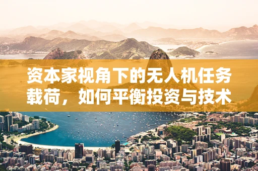 资本家视角下的无人机任务载荷，如何平衡投资与技术创新？