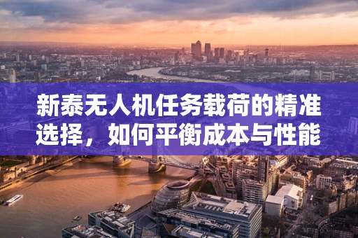 新泰无人机任务载荷的精准选择，如何平衡成本与性能？