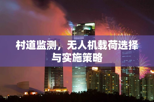 村道监测，无人机载荷选择与实施策略