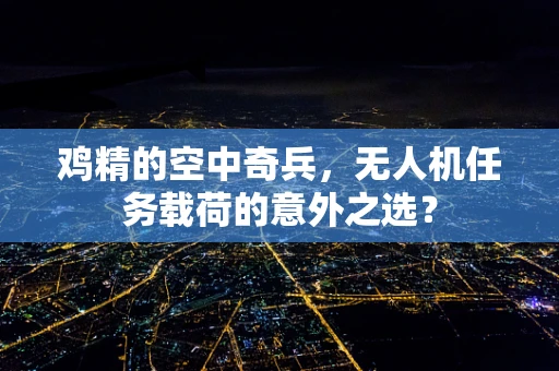 鸡精的空中奇兵，无人机任务载荷的意外之选？