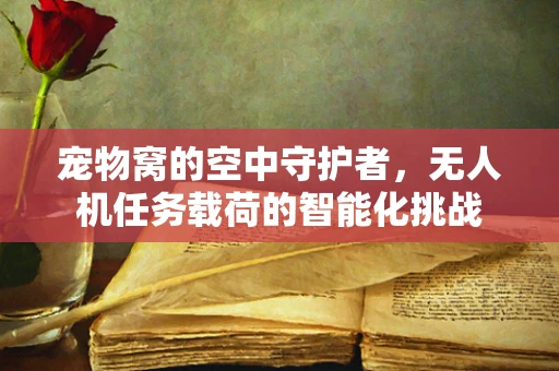 宠物窝的空中守护者，无人机任务载荷的智能化挑战