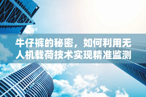 牛仔裤的秘密，如何利用无人机载荷技术实现精准监测？
