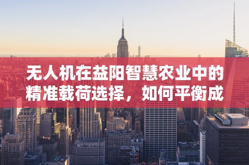 无人机在益阳智慧农业中的精准载荷选择，如何平衡成本与效益？