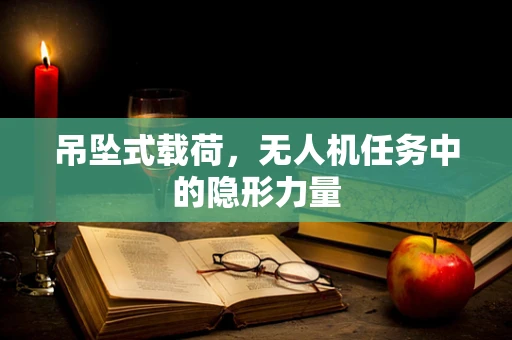 吊坠式载荷，无人机任务中的隐形力量