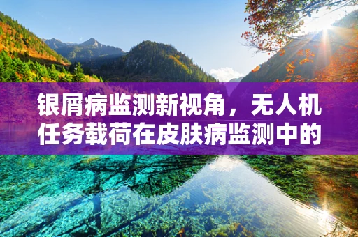 银屑病监测新视角，无人机任务载荷在皮肤病监测中的应用潜力