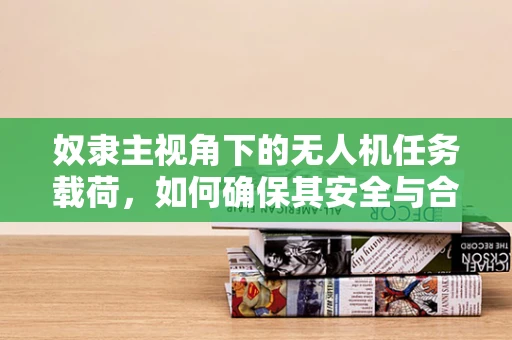 奴隶主视角下的无人机任务载荷，如何确保其安全与合规性？