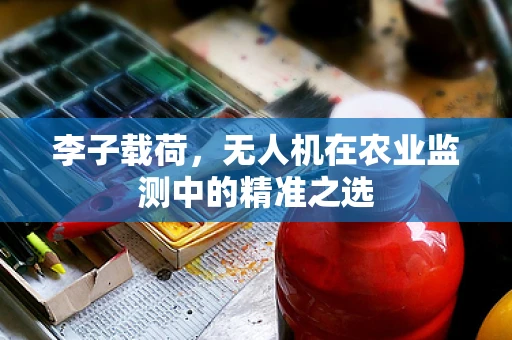 李子载荷，无人机在农业监测中的精准之选