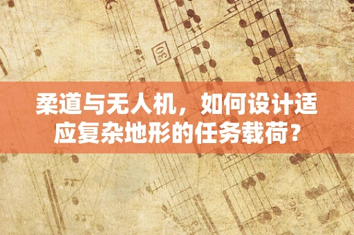 柔道与无人机，如何设计适应复杂地形的任务载荷？