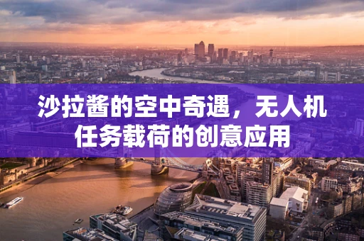 沙拉酱的空中奇遇，无人机任务载荷的创意应用
