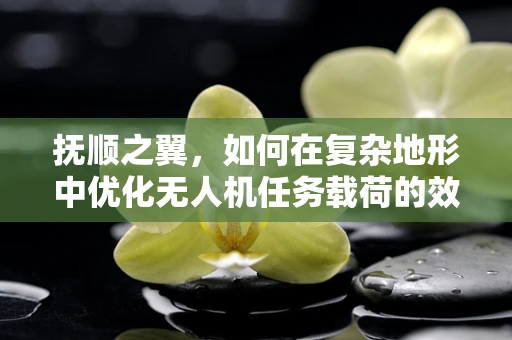 抚顺之翼，如何在复杂地形中优化无人机任务载荷的效能？