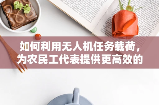 如何利用无人机任务载荷，为农民工代表提供更高效的沟通与信息传递平台？