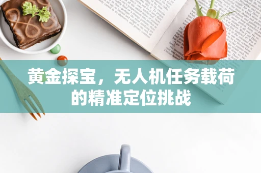 黄金探宝，无人机任务载荷的精准定位挑战
