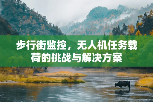 步行街监控，无人机任务载荷的挑战与解决方案