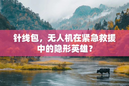 针线包，无人机在紧急救援中的隐形英雄？