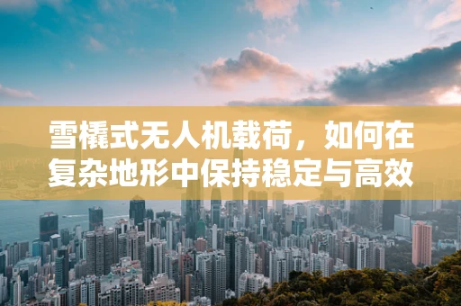 雪橇式无人机载荷，如何在复杂地形中保持稳定与高效？