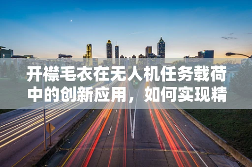开襟毛衣在无人机任务载荷中的创新应用，如何实现精准温控与智能管理？