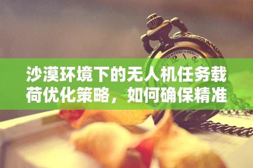沙漠环境下的无人机任务载荷优化策略，如何确保精准与耐久？