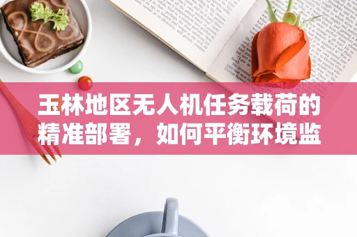 玉林地区无人机任务载荷的精准部署，如何平衡环境监测与隐私保护？