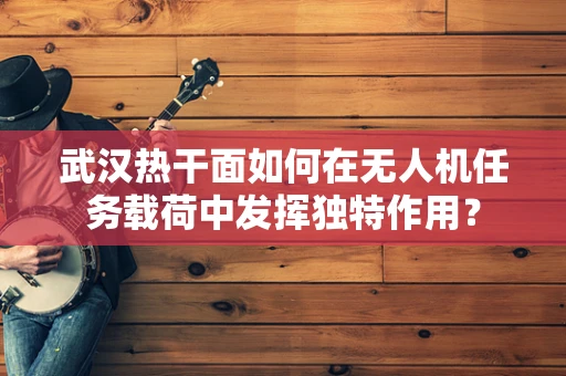 武汉热干面如何在无人机任务载荷中发挥独特作用？